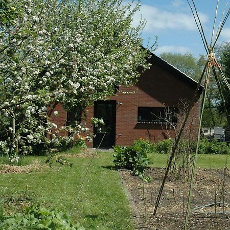 Gastenverblijf Op Het Graveland Zevenhuizen  Eksteriør billede