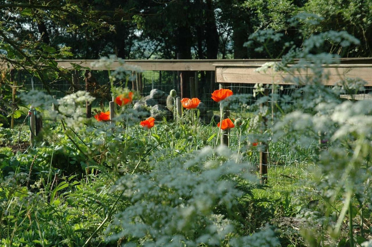 Gastenverblijf Op Het Graveland Zevenhuizen  Eksteriør billede